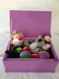 Pet Memory Box (Purple) 3.jpg
